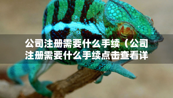 公司注冊(cè)需要什么手續(xù)（公司注冊(cè)需要什么手續(xù)點(diǎn)擊查看詳情）
