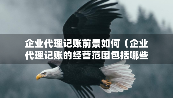 企業(yè)代理記賬前景如何（企業(yè)代理記賬的經(jīng)營(yíng)范圍包括哪些）