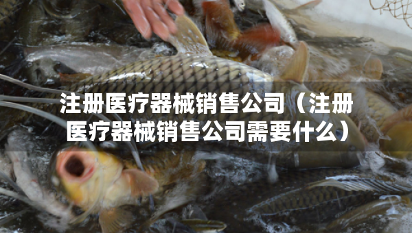 注冊(cè)醫(yī)療器械銷售公司（注冊(cè)醫(yī)療器械銷售公司需要什么）