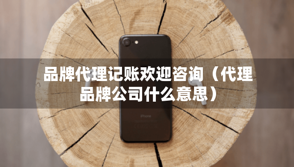 品牌代理記賬歡迎咨詢(xún)（代理品牌公司什么意思）