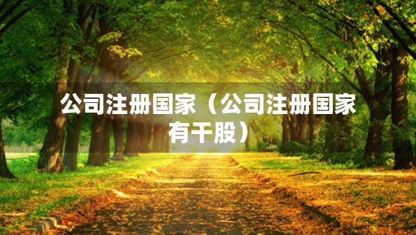 公司注冊國家（公司注冊國家有干股）