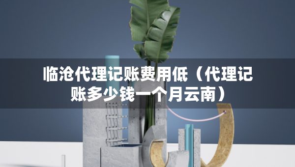 臨滄代理記賬費(fèi)用低（代理記賬多少錢(qián)一個(gè)月云南）