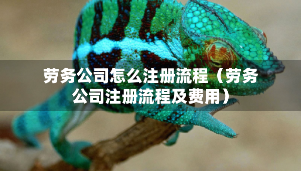 勞務(wù)公司怎么注冊(cè)流程（勞務(wù)公司注冊(cè)流程及費(fèi)用）
