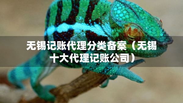 無(wú)錫記賬代理分類備案（無(wú)錫十大代理記賬公司）