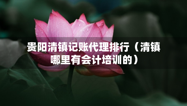 貴陽清鎮(zhèn)記賬代理排行（清鎮(zhèn)哪里有會計培訓的）