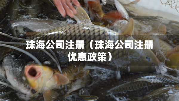 珠海公司注冊(cè)（珠海公司注冊(cè)優(yōu)惠政策）