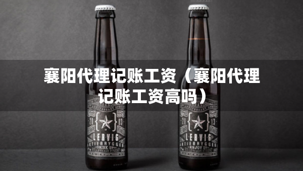 襄陽代理記賬工資（襄陽代理記賬工資高嗎）