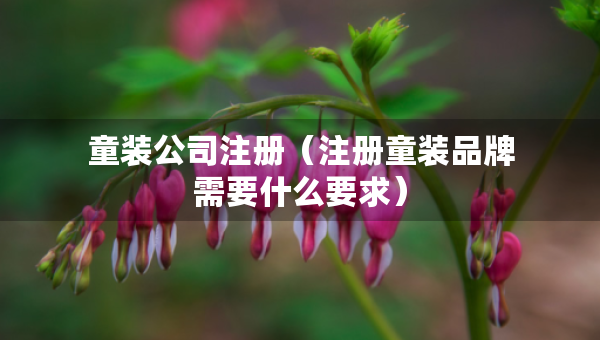 童裝公司注冊（注冊童裝品牌需要什么要求）