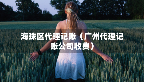 海珠區(qū)代理記賬（廣州代理記賬公司收費）
