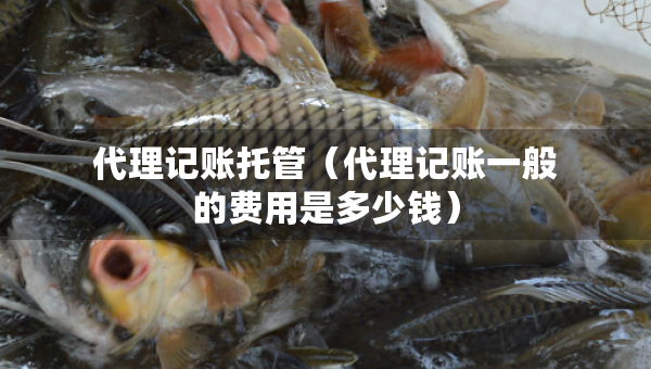 代理記賬托管（代理記賬一般的費用是多少錢）