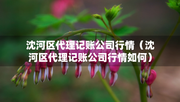 沈河區(qū)代理記賬公司行情（沈河區(qū)代理記賬公司行情如何）