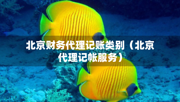 北京財(cái)務(wù)代理記賬類別（北京代理記帳服務(wù)）