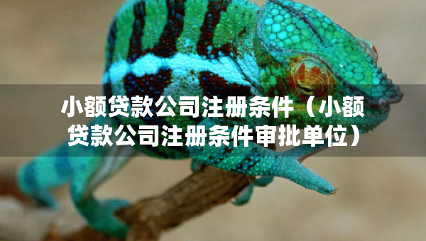 小額貸款公司注冊條件（小額貸款公司注冊條件審批單位）