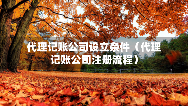 代理記賬公司設(shè)立條件（代理記賬公司注冊流程）