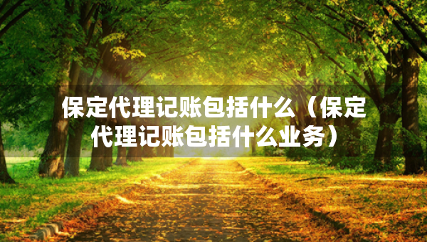 保定代理記賬包括什么（保定代理記賬包括什么業(yè)務(wù)）