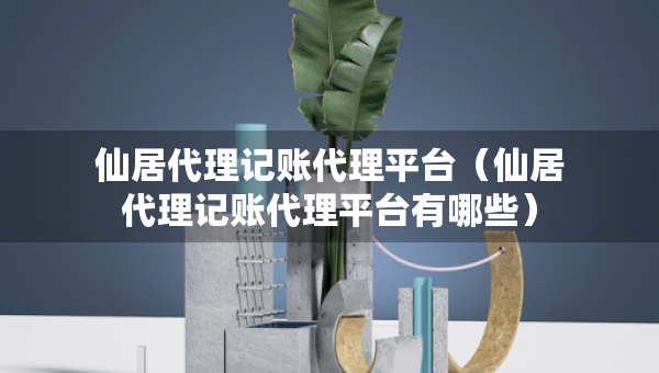 仙居代理記賬代理平臺（仙居代理記賬代理平臺有哪些）