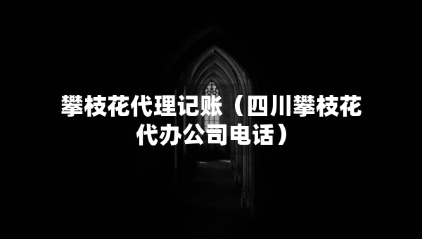 攀枝花代理記賬（四川攀枝花代辦公司電話）
