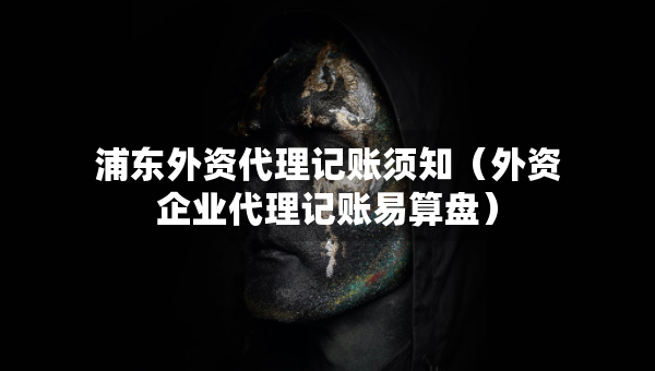浦東外資代理記賬須知（外資企業(yè)代理記賬易算盤）