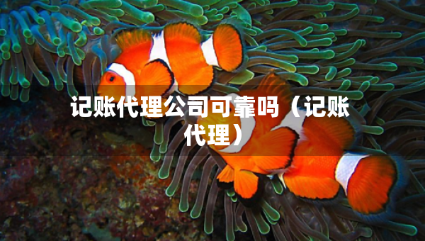 記賬代理公司可靠嗎（記賬 代理）