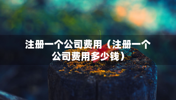 注冊一個公司費用（注冊一個公司費用多少錢）