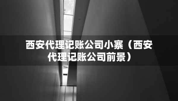 西安代理記賬公司小寨（西安代理記賬公司前景）