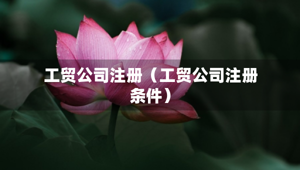 工貿(mào)公司注冊（工貿(mào)公司注冊條件）