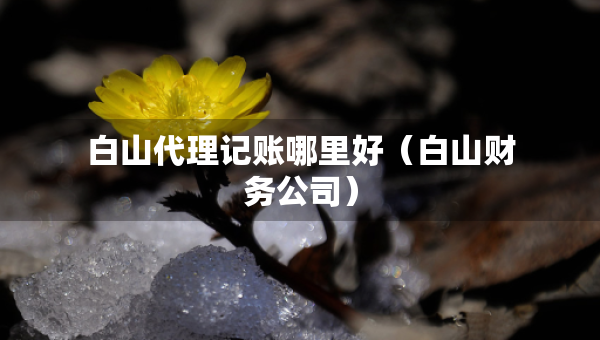 白山代理記賬哪里好（白山財(cái)務(wù)公司）