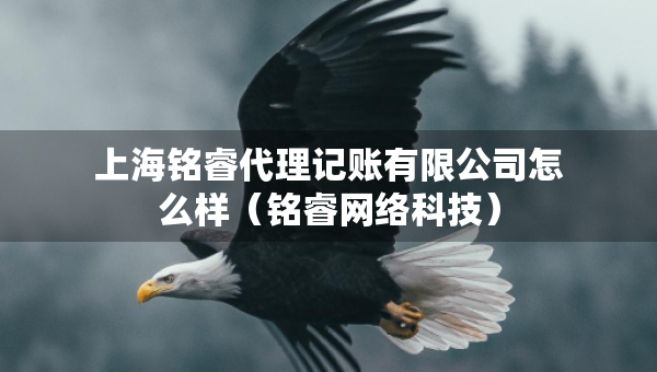 上海銘睿代理記賬有限公司怎么樣（銘睿網(wǎng)絡(luò)科技）