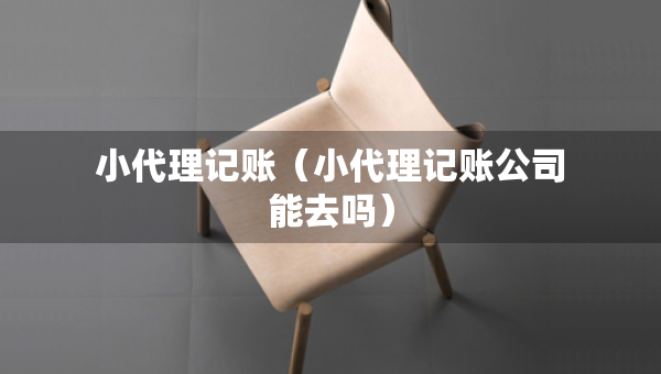小代理記賬（小代理記賬公司能去嗎）
