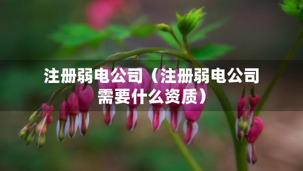 注冊(cè)弱電公司（注冊(cè)弱電公司需要什么資質(zhì)）