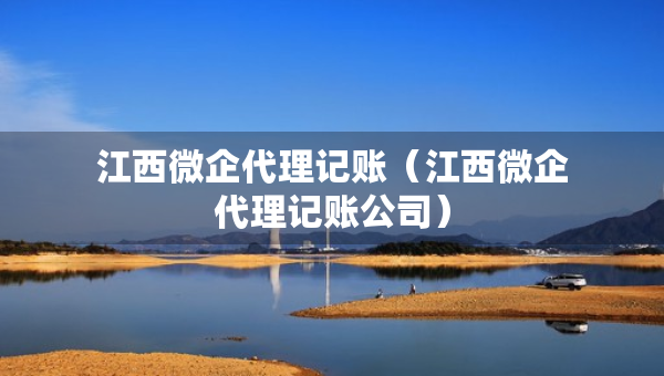 江西微企代理記賬（江西微企代理記賬公司）