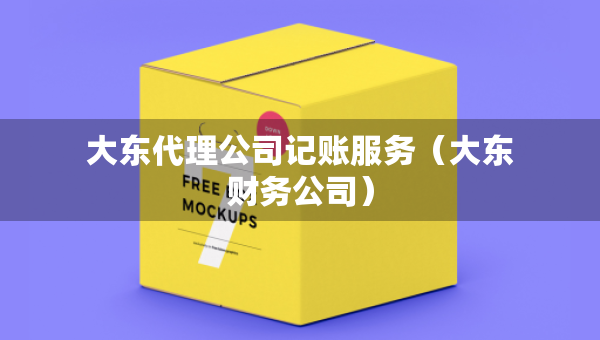大東代理公司記賬服務(wù)（大東財(cái)務(wù)公司）