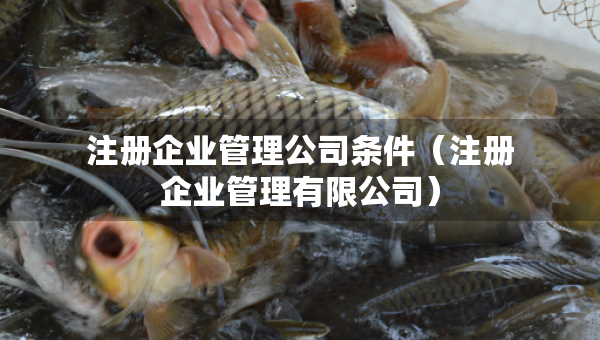 注冊企業(yè)管理公司條件（注冊企業(yè)管理有限公司）