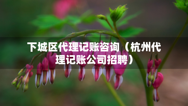 下城區(qū)代理記賬咨詢（杭州代理記賬公司招聘）