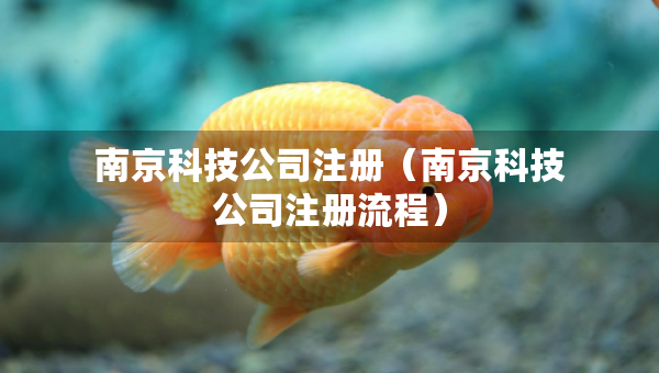 南京科技公司注冊（南京科技公司注冊流程）