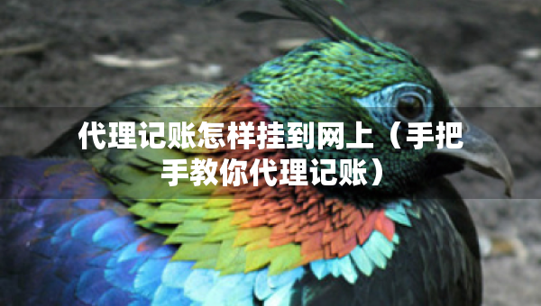 代理記賬怎樣掛到網(wǎng)上（手把手教你代理記賬）