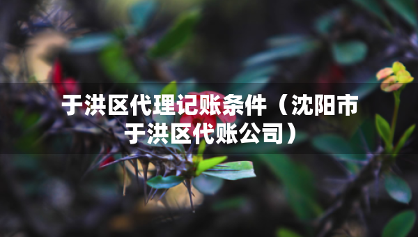 于洪區(qū)代理記賬條件（沈陽市于洪區(qū)代賬公司）