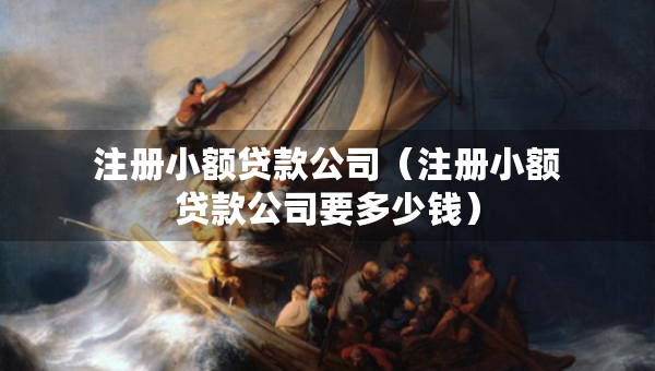 注冊小額貸款公司（注冊小額貸款公司要多少錢）