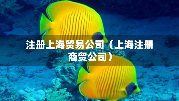 注冊(cè)上海貿(mào)易公司（上海注冊(cè)商貿(mào)公司）
