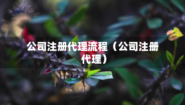公司注冊代理流程（公司注冊 代理）