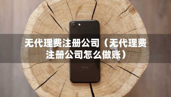 無代理費注冊公司（無代理費注冊公司怎么做賬）