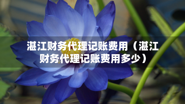 湛江財(cái)務(wù)代理記賬費(fèi)用（湛江財(cái)務(wù)代理記賬費(fèi)用多少）