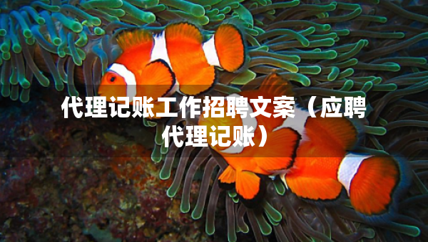 代理記賬工作招聘文案（應(yīng)聘代理記賬）