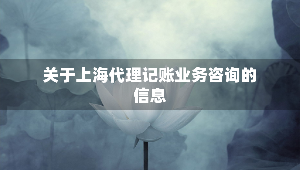 關于上海代理記賬業(yè)務咨詢的信息