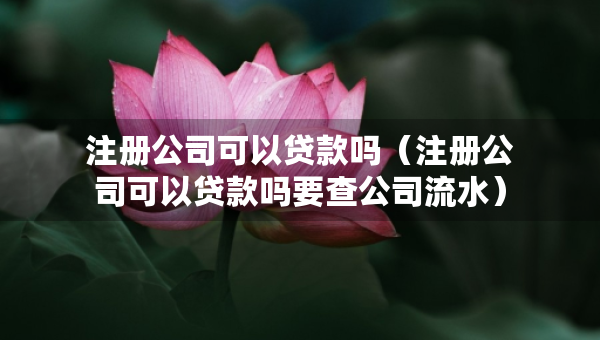注冊公司可以貸款嗎（注冊公司可以貸款嗎要查公司流水）