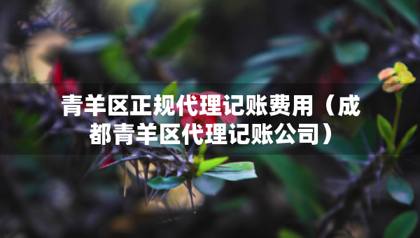 青羊區(qū)正規(guī)代理記賬費(fèi)用（成都青羊區(qū)代理記賬公司）