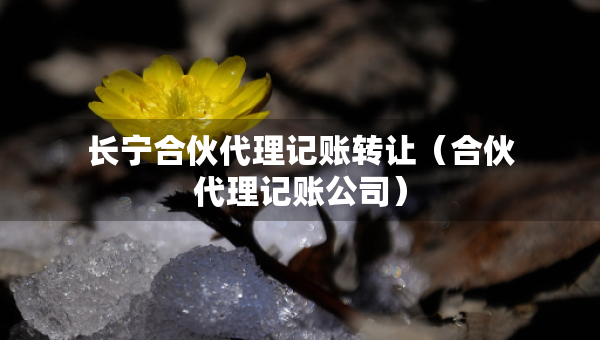 長寧合伙代理記賬轉讓（合伙代理記賬公司）