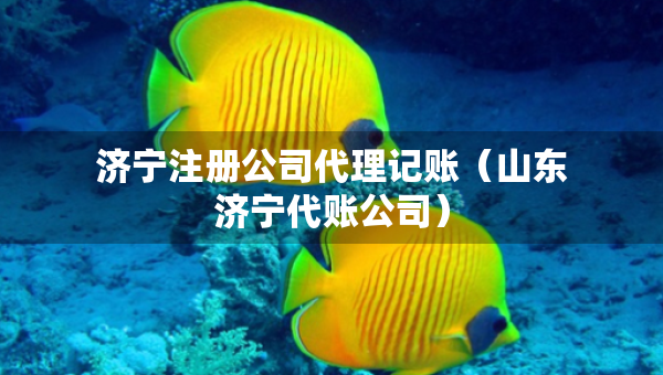 濟寧注冊公司代理記賬（山東濟寧代賬公司）