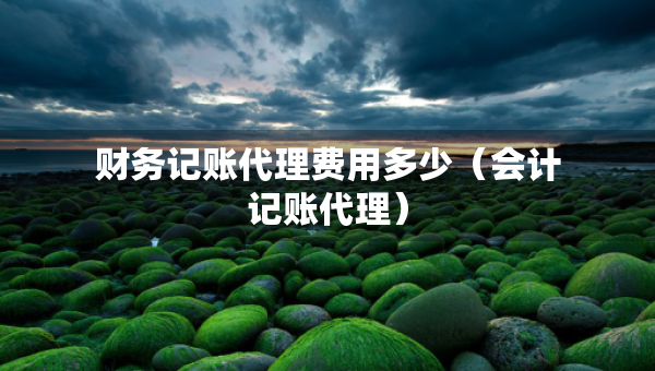 財務(wù)記賬代理費用多少（會計記賬代理）