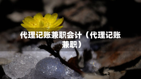 代理記賬兼職會計（代理記賬 兼職）